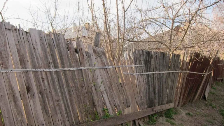 Old Fence